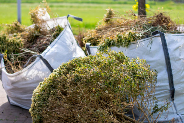 Best Same-Day Junk Removal  in Sunbury, PA